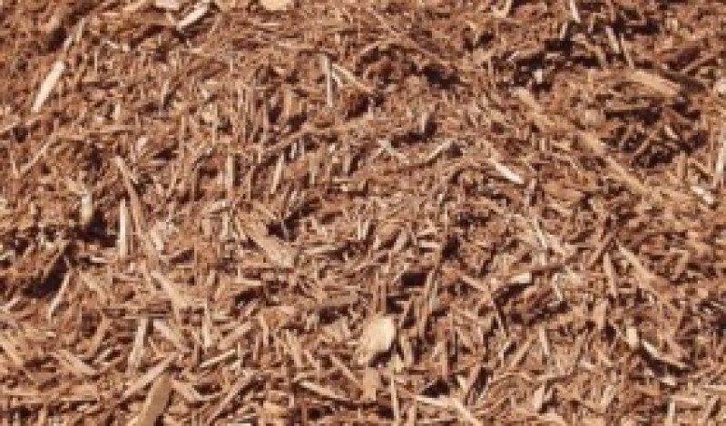 Natural Pine Mulch